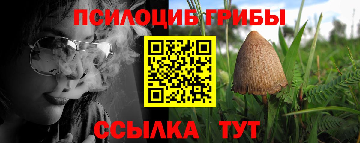 Звенигород  Псилоцибиновые грибы GOLDEN TEACHER  Вход с VPN 